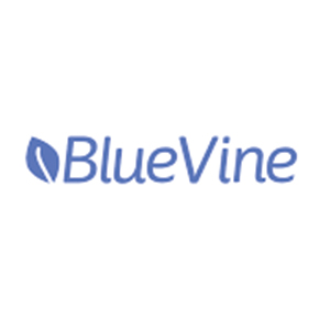 bluevine-loans-for-startup-businesses