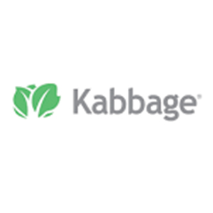 kabbage-startup-business-financing-loans