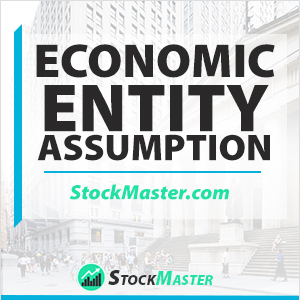 Economic Entity Assumption Definition Example Explanation Guide