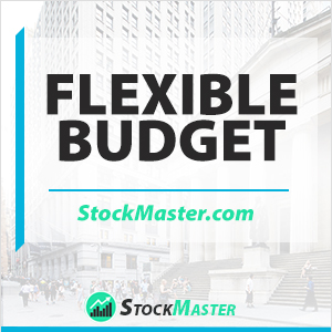 flexible-budget